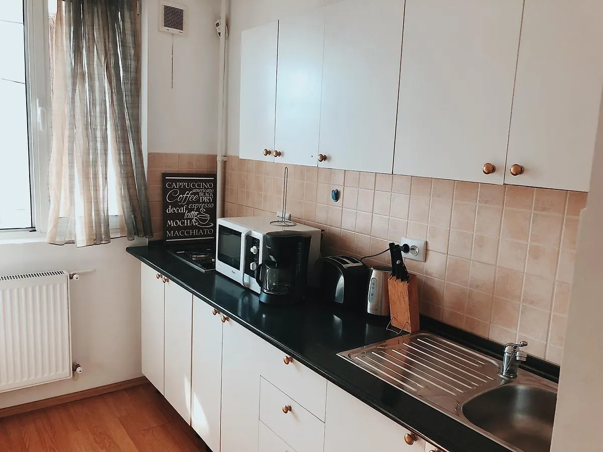 Central Aesthetic Apartment Bukareszt Rumunia